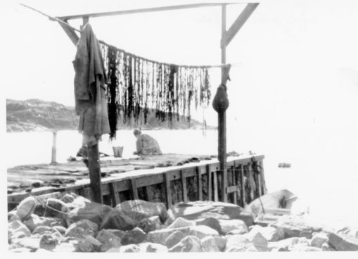 d-bilder15mars16258-september1953